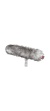 021507_windjammer_wj_7_1224026374