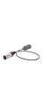 Schoeps CCM 4P U Compact Microphone for close pickup, cardioid, permanently attached cable, incl. SGC and premium case