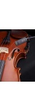 violin