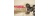 studer-41990103