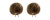 bb_str04-brun-2stk-1