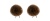 bb_str03-brun-2stk-1