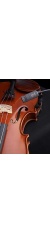 violin_20991421