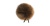 bb-brun-01a