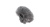 055443_nagra_pico_miniwindjammer
