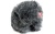 055379_5cm_sgm_windjammer