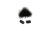 065555_single_black_ristretto_lavalier_windjammer