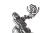 037324_invision_softie_lyre_mount_mhr_3