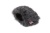 055439_miniwindjammer_zoom_h2n