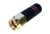 ant-2_4-sma-m