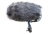 Schoeps Cinela COSI-L-20 CMC 6 elastically suspended windscreen, for CMC 6 (without CUT 60)