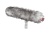 021507_windjammer_wj_7_1224026374