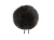 bb-sort-01a