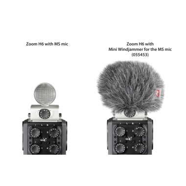 large_zoom_h6_ms_with_mwj