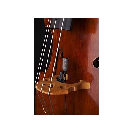 contrabass