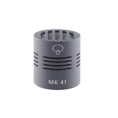 mk41g