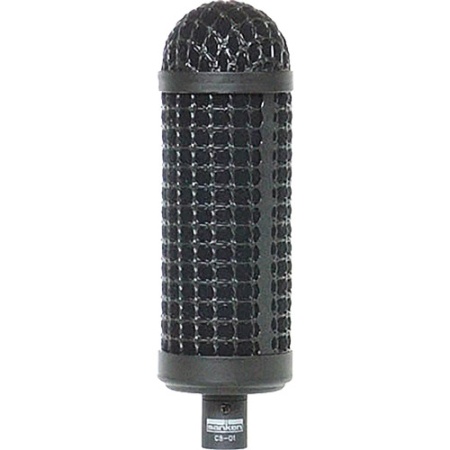 ws-1