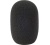 104403_3055_reporter_mic_foam