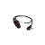 plag-in-s-1024x426_889411703