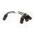 ska-dms-s-1024x427