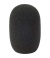 104403_3055_reporter_mic_foam