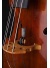 contrabass