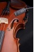 violin