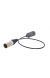 ccm_u_01