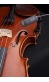violin_20991421