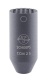 ccm2sg