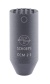 ccm2sg